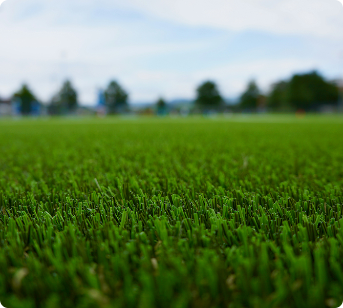 close up of cut grass